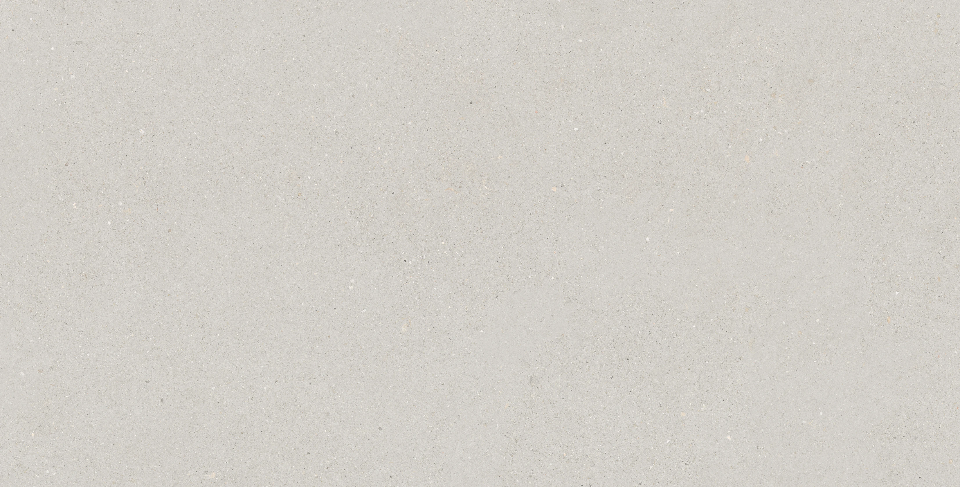 LS63